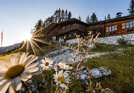 Pleisenhütte im Sommer - Scharnitz - quer.jpg