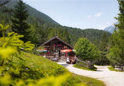 Wanderung zur Scharnitzer Alm - Scharnitzer Alm mit Tannenzweigen im Vordergrund.jpg