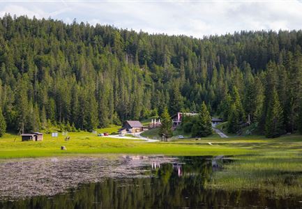Wildmoosalm im Sommer - Alm aus der Distanz mit Gewässer im Vordergrund.jpg